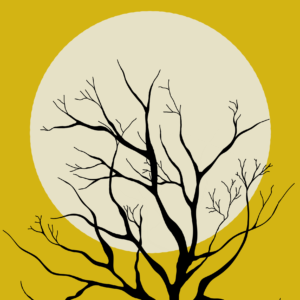 Sunset Tree
